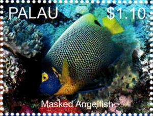 Colnect-4910-079-Masked-Angelfish-Pomacanthus-xanthometopon.jpg