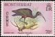 Colnect-834-002-Glossy-Ibis-Plegadis-falcinellus.jpg