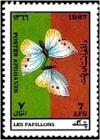 Colnect-2112-198-Garden-Whites-Butterfly-Pieris-sp.jpg