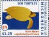 Colnect-5782-107-Olive-ridley-turtle.jpg