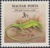 Colnect-605-658-Green-Lizard-Lacerta-viridis.jpg