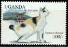 Colnect-5956-171-Japanese-Bobtail.jpg