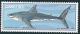 STS-South-Africa-11-300dpi.jpg-crop-735x314at208-2911.jpg