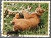 Colnect-2666-455-Carakal-Caracal-caracal.jpg