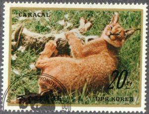 Colnect-2666-455-Carakal-Caracal-caracal.jpg