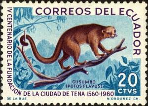 Colnect-3947-136-Kinkajou-Potos-flavus.jpg