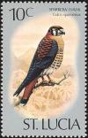 Colnect-1506-978-American-Kestrel-Falco-sparverius.jpg