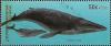 Colnect-3348-265-Pro-Philately---Minke-Whale-Balaenoptera-acutorostrata.jpg