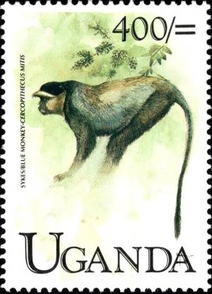 Colnect-6288-686-Blue-monkey-Cercopithecus-mitis.jpg