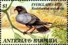 Colnect-1833-936-Everglades-Kite-Rostrhamus-sociabilis.jpg