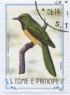 Colnect-953-758-Sao-Tome-Emerald-Cuckoo-Chrysococcyx-cupreus-insularum.jpg