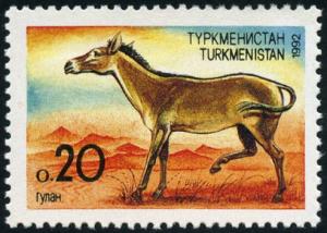Colnect-5030-278-Turkmenian-Kulan-Equus-hemionus-kulan.jpg