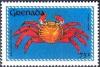 Colnect-2355-047-Red-Rock-Crab-Grapsus-grapsus.jpg
