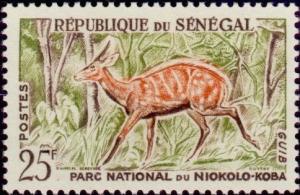 Colnect-504-437-Bushbuck-Tragelaphus-scriptus.jpg