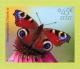 Colnect-2395-772-Peacock-Butterfly-Inachis-io.jpg