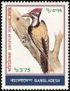 Colnect-1421-738-Black-rumped-Flameback-Dinopium-benghalense.jpg