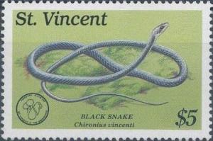 Colnect-1755-569-St-Vincent-Blacksnake-Chironius-vincenti.jpg