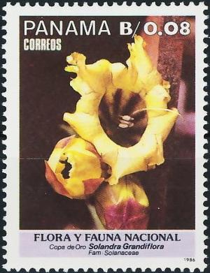 Colnect-3799-737-Solandra-grandiflora.jpg