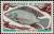 Colnect-894-216-Nile-Tilapia-Tilapia-nilotica.jpg