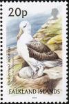 Colnect-2894-666-Black-browed-Albatross-Diomedea-melanophris.jpg