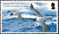 Colnect-3154-364-Light-mantled-Albatross-Phoebetria-palpebrata.jpg