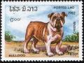 Colnect-1206-799-English-Bulldog-Canis-lupus-familiaris.jpg