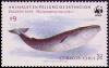 Colnect-1598-522-Blue-Whale-Balaenoptera-musculus.jpg