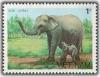 Colnect-1631-623-Asian-Elephant-Elephas-maximus.jpg