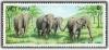 Colnect-1631-628-Asian-Elephant-Elephas-maximus.jpg