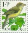 Colnect-187-085-Willow-Warbler-Phylloscopus-trochilus.jpg