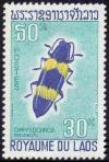 Colnect-242-284-Jewel-Beetle-Chrysochroa-mniszechi.jpg