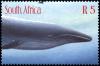 Colnect-2761-402-Blue-Whale-Balaenoptera-musculus.jpg