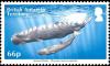 Colnect-3521-052-Sperm-Whale-Physeter-macrocephalus.jpg
