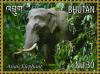 Colnect-4045-928-Asian-Elephant-Elephas-maximus.jpg
