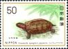 Colnect-4560-991-Ryukyu-Black-breasted-Leaf-Turtle-Geomyda-spengleri-japonic.jpg