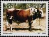 Colnect-5214-159-Sanga-Cattle-Bos-primigenius-taurus.jpg
