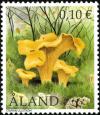 Colnect-5521-053-Chanterelle-Cantharellus-cibarius.jpg