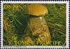 Colnect-5557-012-Boletus-versipellis.jpg
