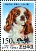 Colnect-2341-032-Cavalier-King-Charles-Spaniel-Canis-lupus-familiaris.jpg