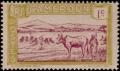Colnect-582-311-Cattle-Crossing-a-River.jpg
