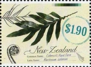 Colnect-2697-736-Colenso-s-Hard-Fern.jpg