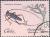 Colnect-660-284-Longhorn-Beetle-Pinthocoelium-columbinum.jpg