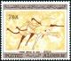 Colnect-2561-567-Fleeing-ostriches.jpg