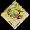 Colnect-3266-528-Queen-Angelfish-Holacanthus-ciliaris.jpg