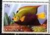 Colnect-3268-756-Queen-Angelfish-Holacanthus-ciliaris.jpg