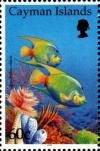 Colnect-5132-687-Queen-Angelfish-Holacanthus-ciliaris.jpg