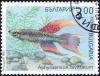 Colnect-3856-297-Two-stripe-Killifish-Aphyosemion-bivittatum.jpg