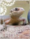 Colnect-4587-477-Common-lizard-Zootoca-vivipara.jpg