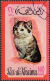 Colnect-978-727-Cat-Felis-silvestris-catus.jpg