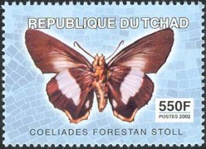 Colnect-2395-331-Striped-Policeman-Coeliades-forestan.jpg